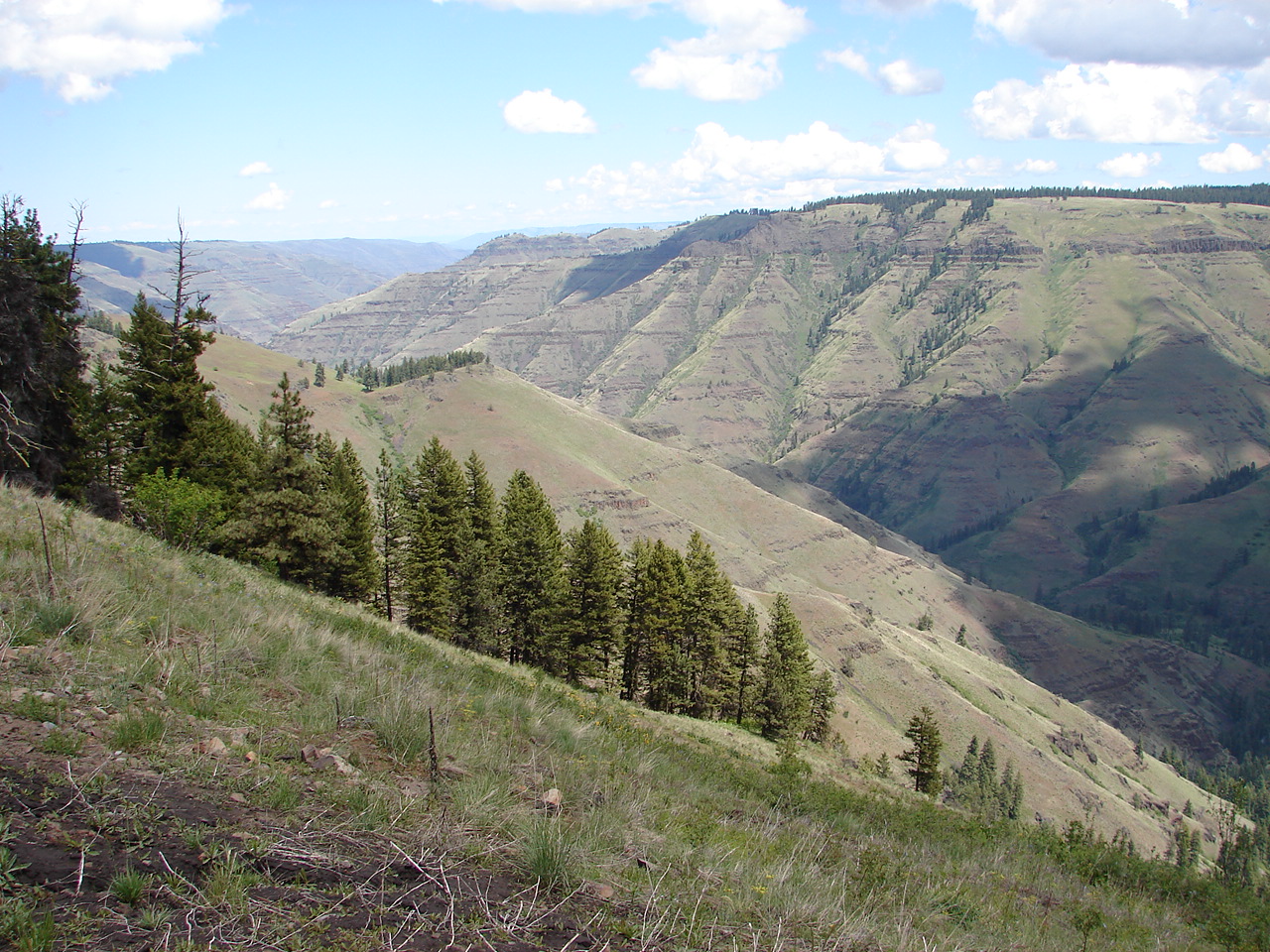 View of rugged grassy canyon from Joseph Canyon Viewpoint 