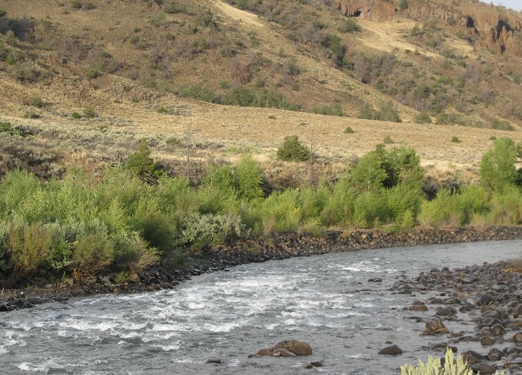 Photograph of the Shoshone River