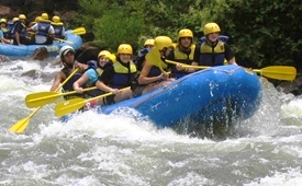 View of Whitewater Rafting in Cherokee National Forest