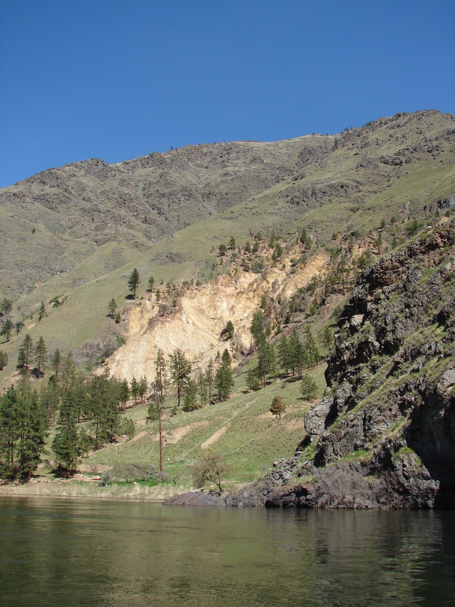 Grassy slope above Pine Bar on the Snake River in foreground