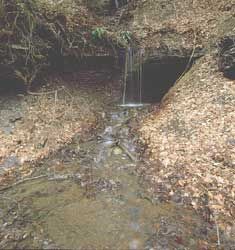 Photo of a abandoned mine opening with water flowing out of it