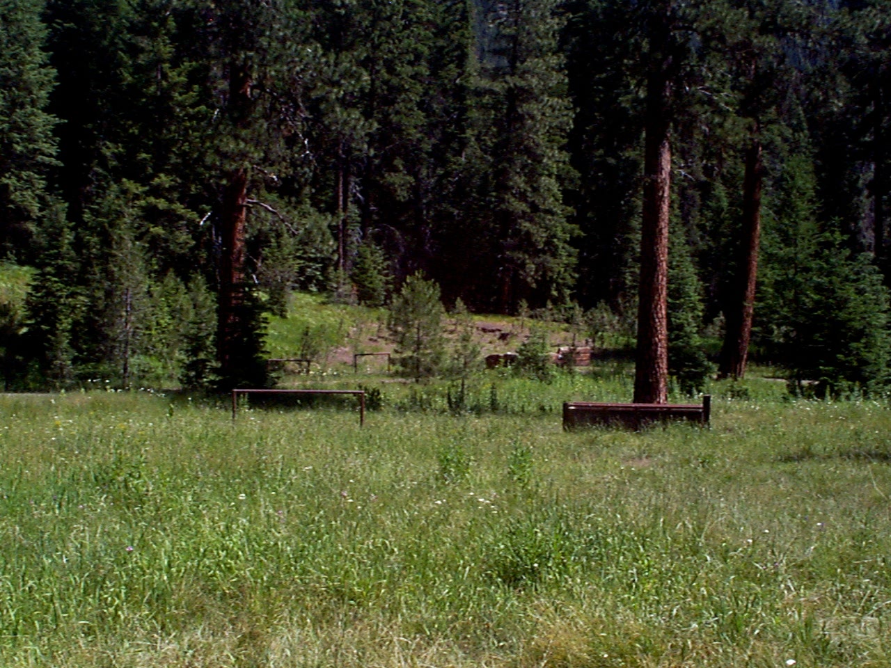 Grassy trailhead area with horse hitching rails
