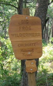 View of Big Frog Wilderness Portal