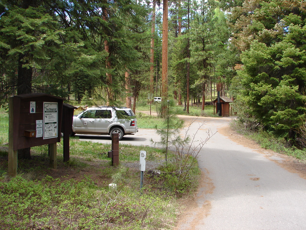 Campground with large ponderosa pine trres and a car parked in a campsite