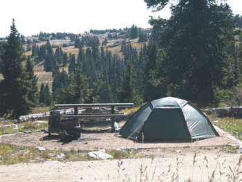 Campsite in Sugarloaf Campground, Laramie Ranger District, in the Medicine Bow National Forest, located in southeast Wyoming - Click on this photo to view the Sugarloaf Campground Information webpage in a new window [HyperText Markup Language (HTML) link].