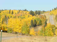 Picture of Tres Piedras2 fall colors