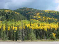 Picture of Taos Ski Valley fall colors