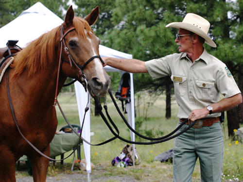 Photograph of a Forest Service employee walking a horse.