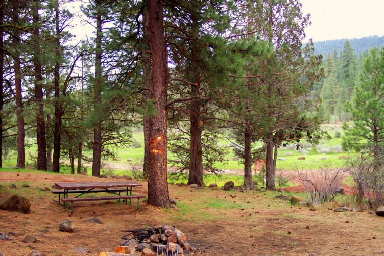 A campsite overlooking the meadow and Ash Creek.