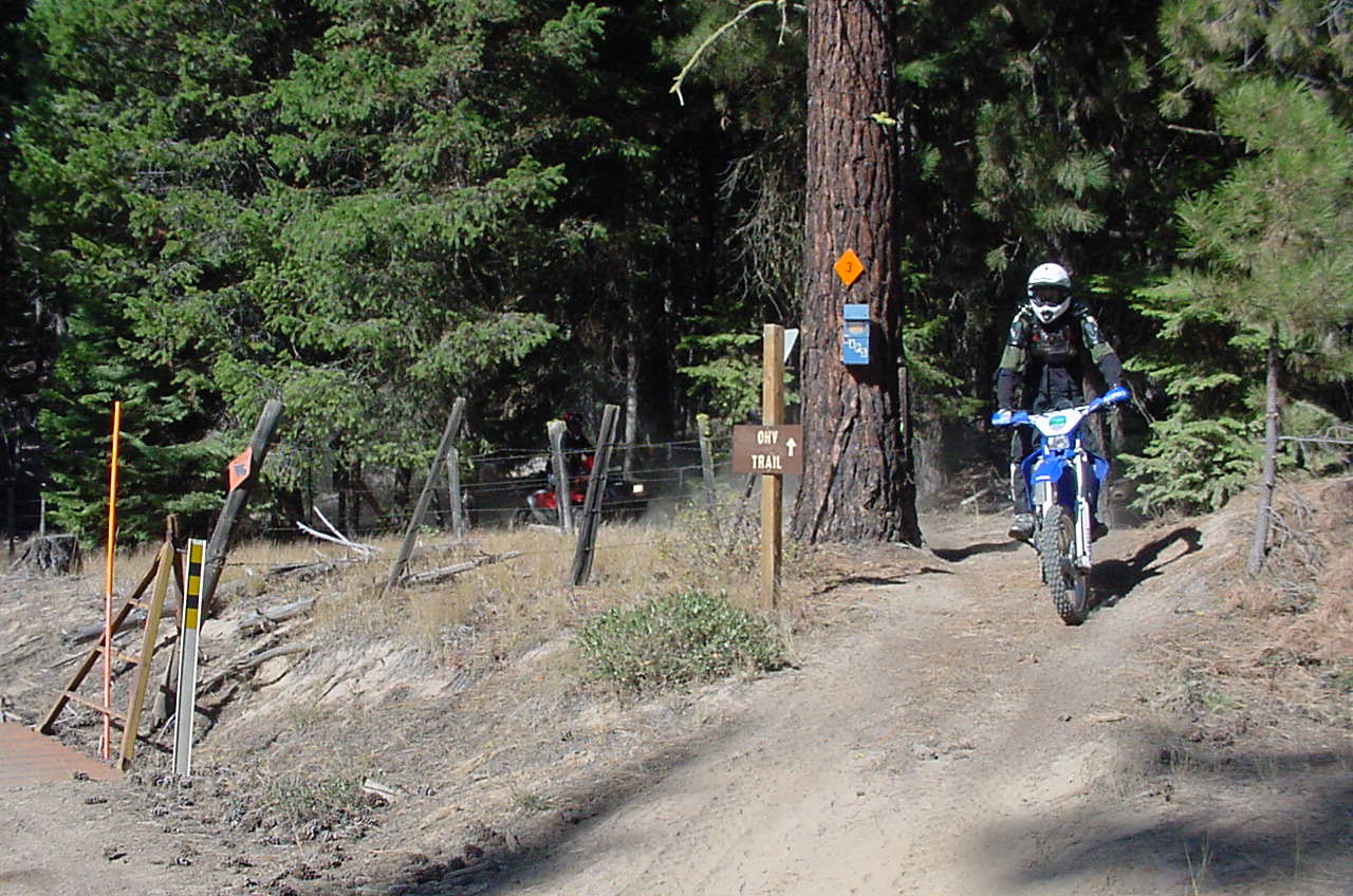Motorcycle rider of forested OHV trail