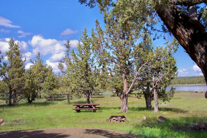 Tables under the trees on the shore of Big Sage Reservoir.