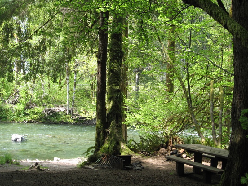 Camp along the Sol Duc River