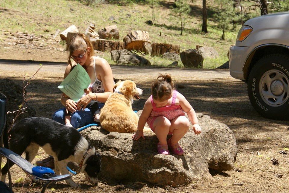 Dogs wait patiently while mom and kids plan their day.