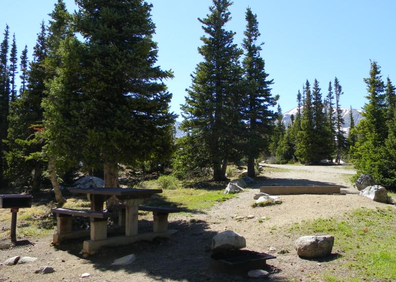 Photo showing a typical campsite at Pawnee Campground with a picnic table and pine trees