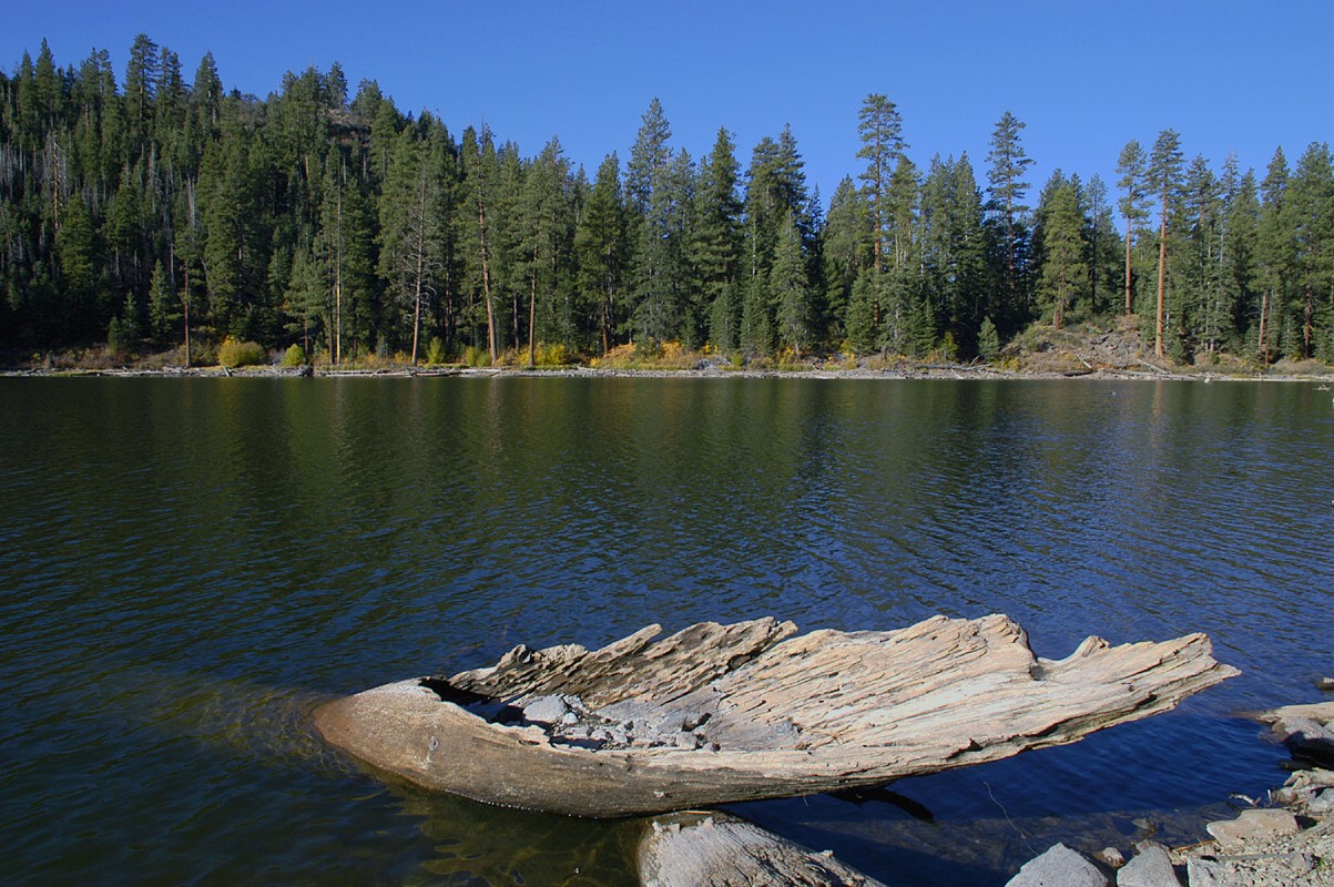 An old weathered grey log remnant lies on the shoreline of a tree lined mountain lake.