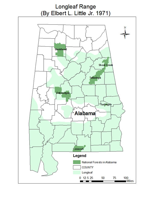 Alabama National Forest Map USDA Longleaf   Forest Inventory