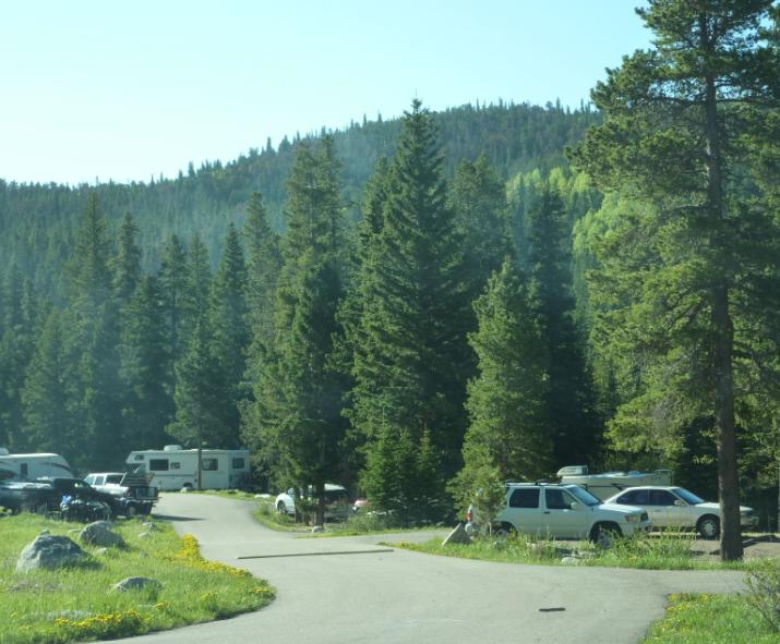 Photo of Camp Dick showing campsites in dense forest