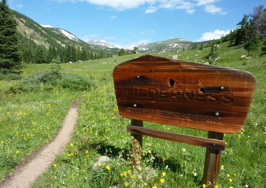 Photo of the Indian Peaks Wilderness sign located in a meadow of wildflowers with snow-capped peaks