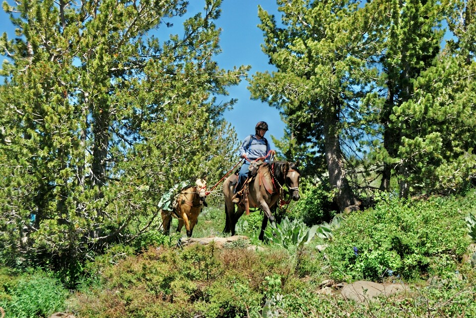 A rider leads a pack horse on the summit trail.