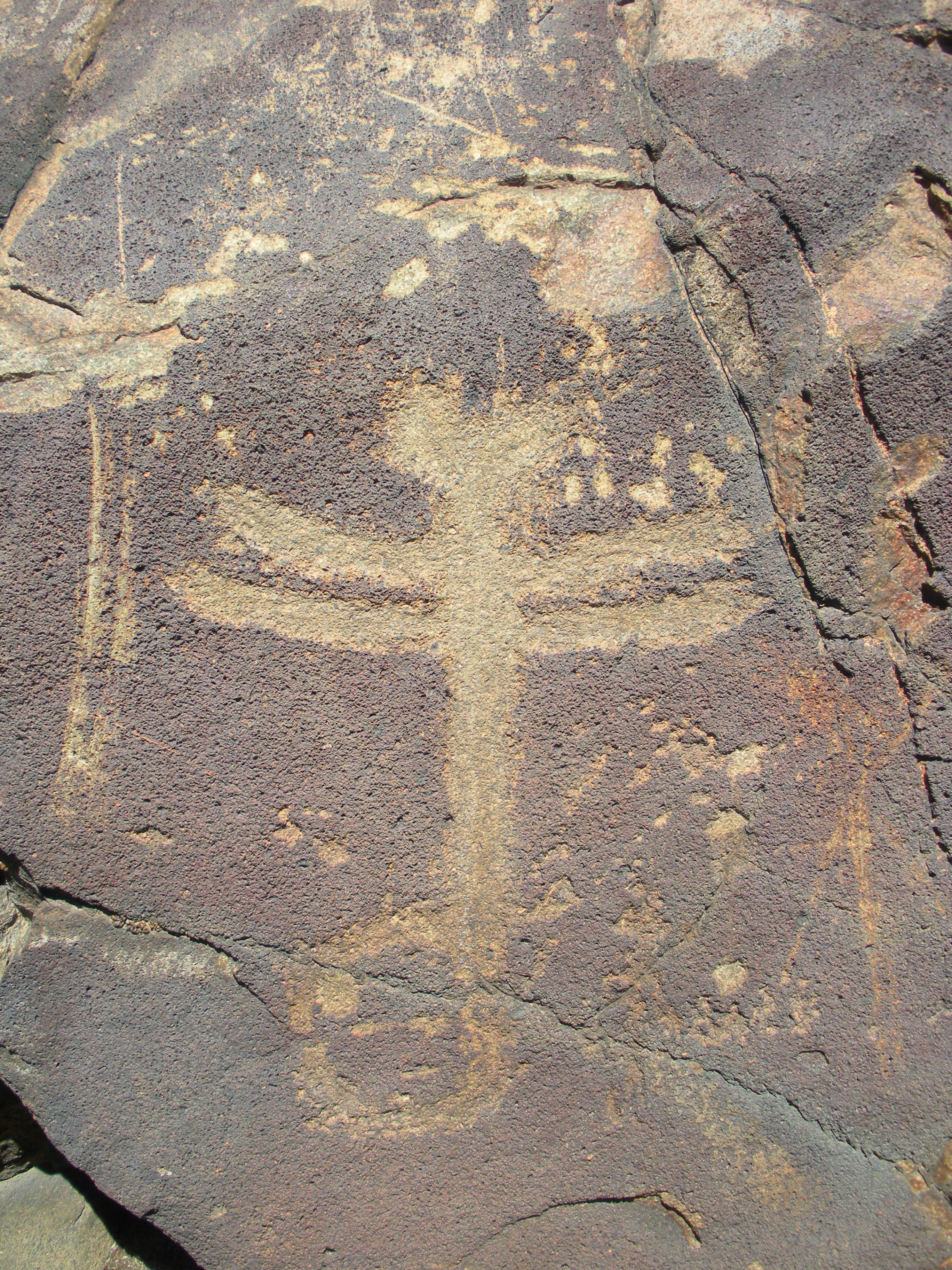 Dragonfly Trail Petroglyph
