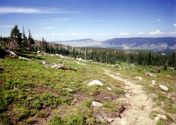 A part of the Browns Lake Trail. A mountain range is in the background.