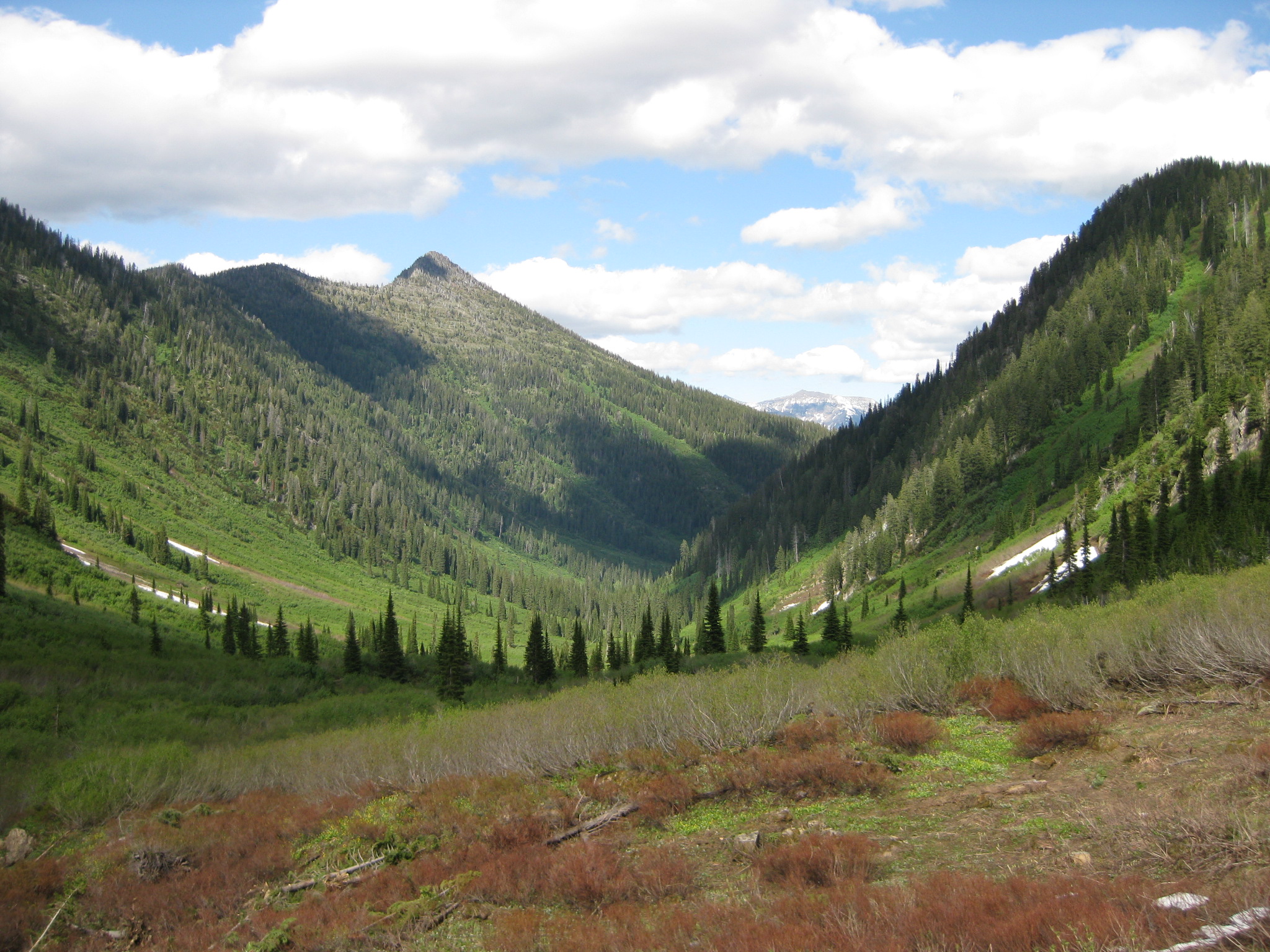 a view of mountains on the Hungry Horse Ranger District