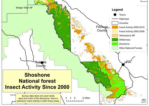 Map of the damage done by bark beetles in the Shoshone since 2000
