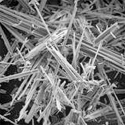 Magnification of Asbestos fibers.