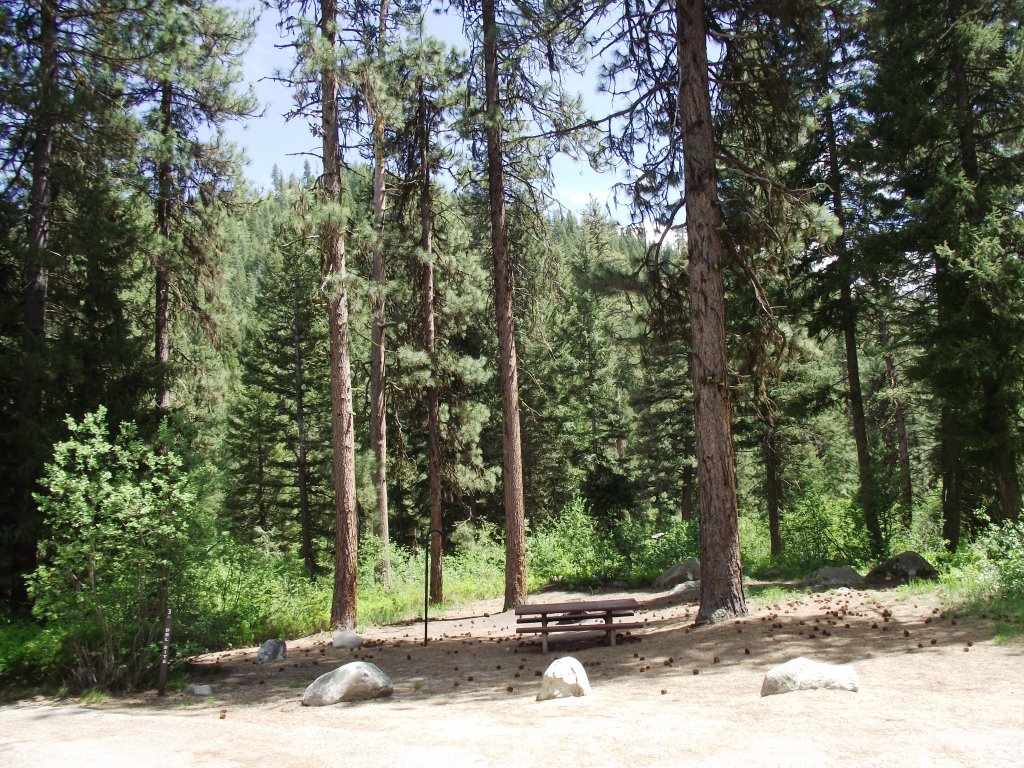 Boise National Forest Bad Bear Campground 5039