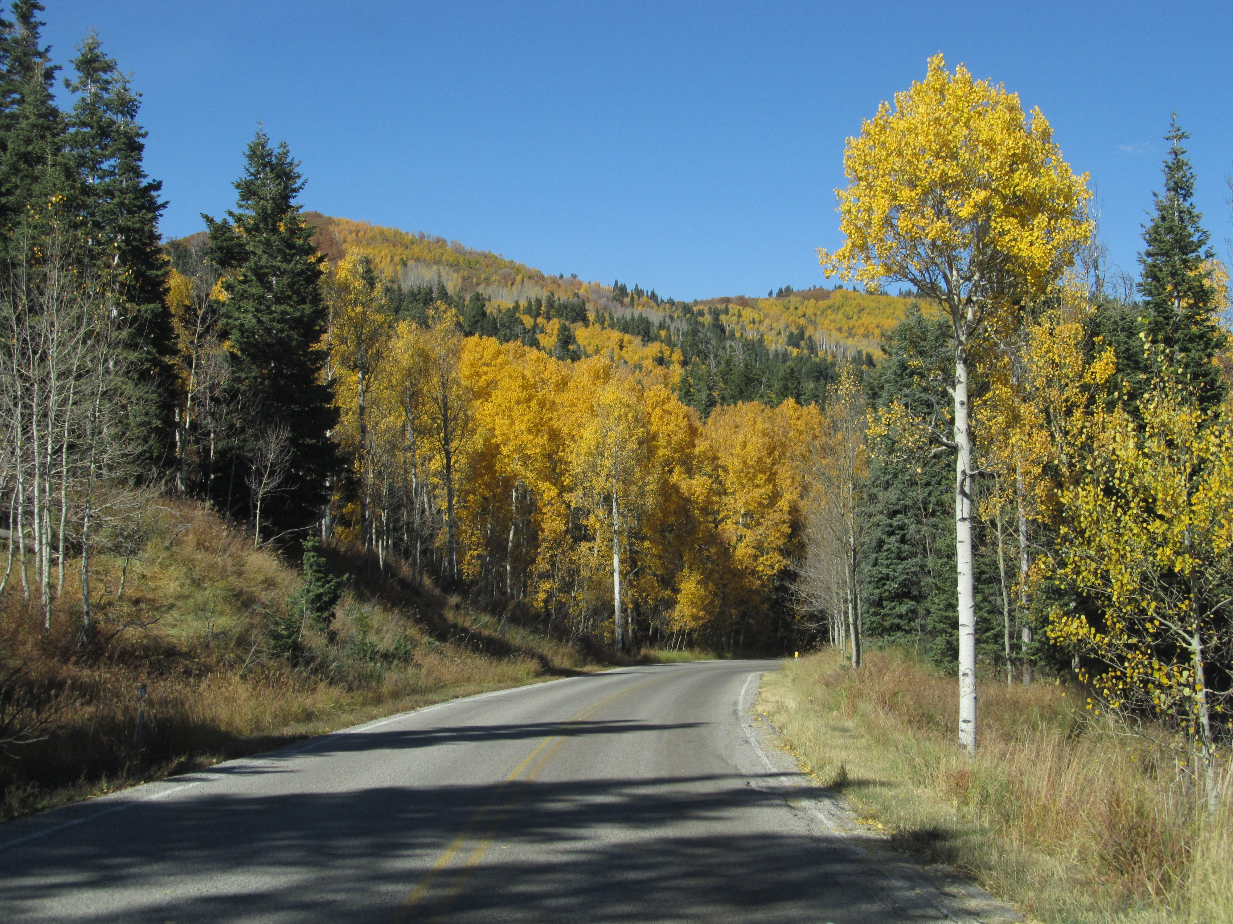 Nebo Loop Scenic Byway