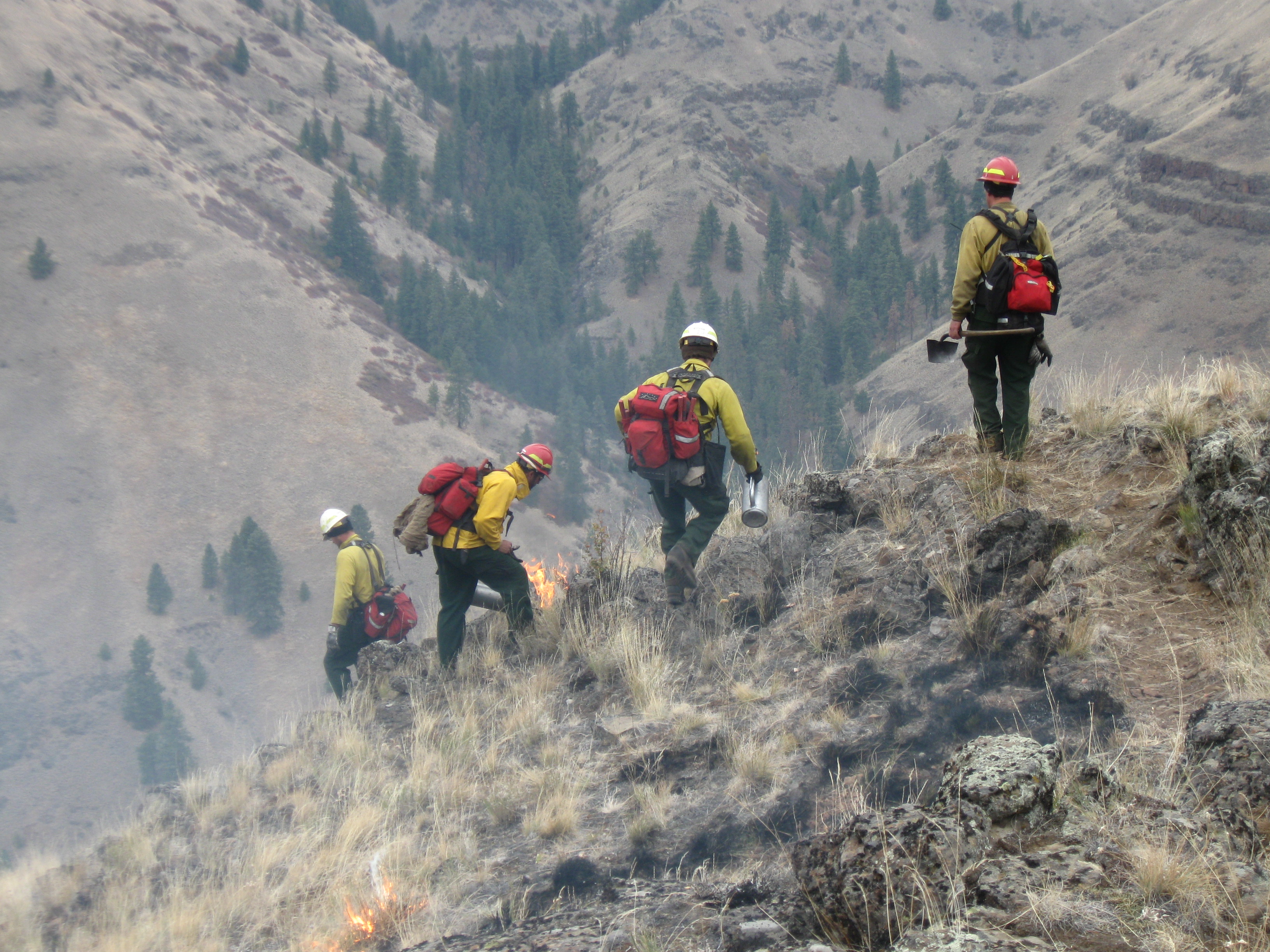 Firefighters monitor a prescribed burn.