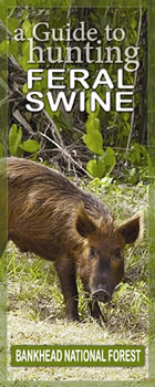 Feral pig in forest with text a guide to hunting feral swine - Bankhead National Forest