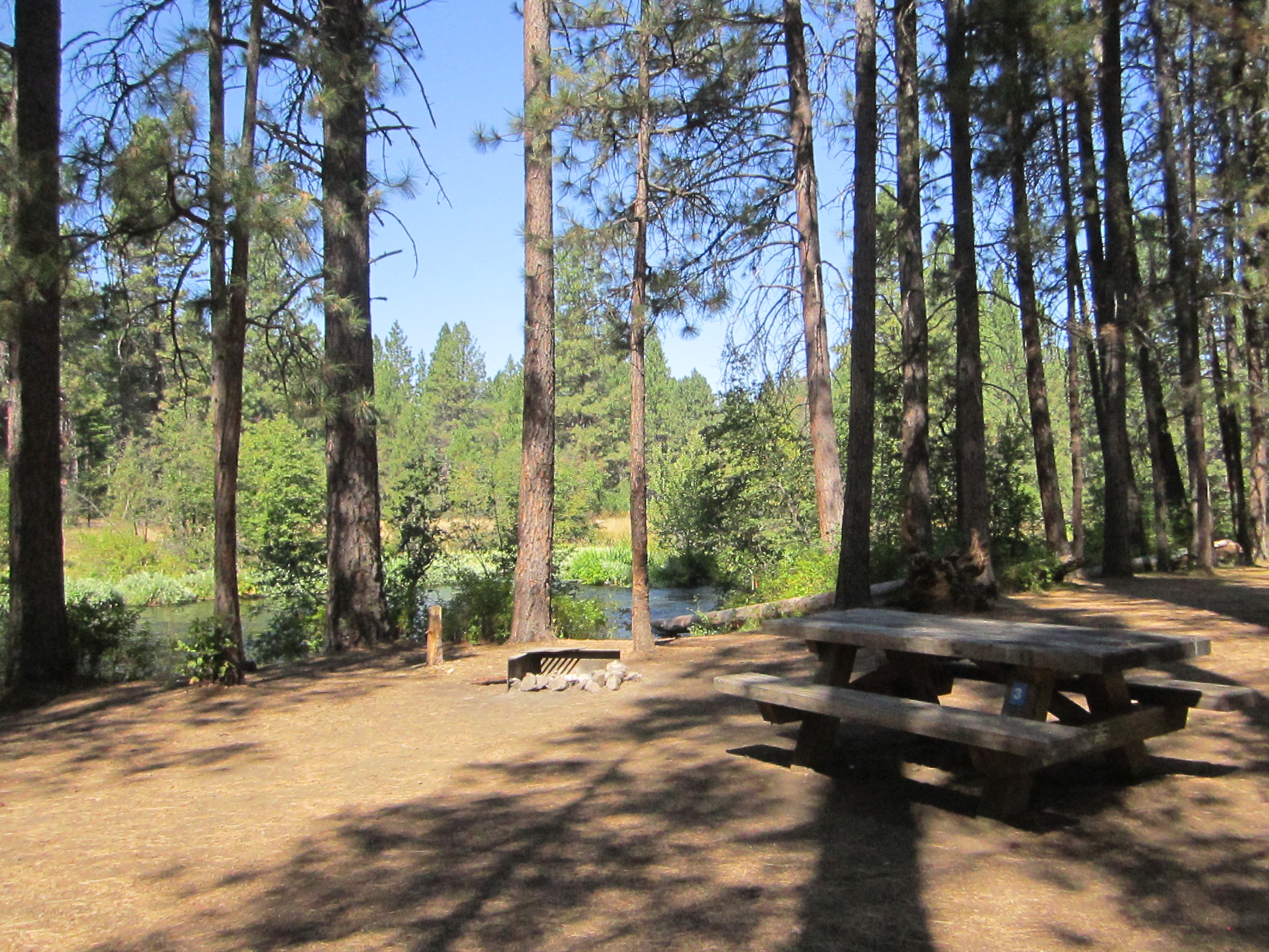 Pine Rest Campsite