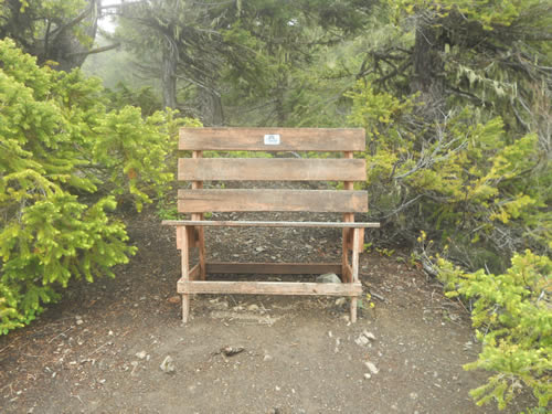 Bench along Deer Ridge Trail.