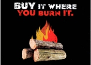 Buy it where you burn it!