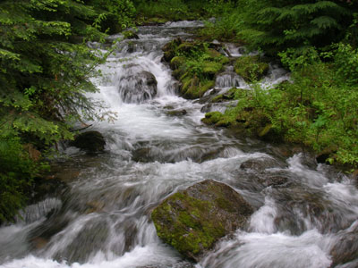 photo of West Placer Creek