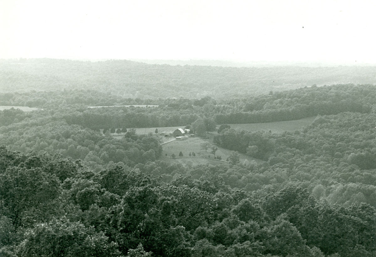 View from Buzzard Roost Tower in 1965.