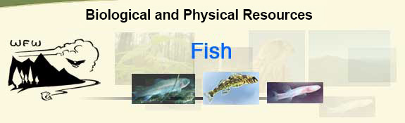 Biological and Physical Resources - Fish icon
