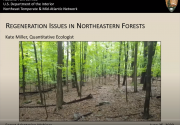 Opening slide of regeneration issues in NE forests lecture video