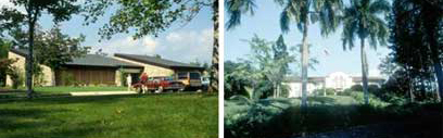 Two photos of buildings. The first photo is of a one story building with multiple cars park out in front of it. The second photo is of a building that is surrounded by palm trees.