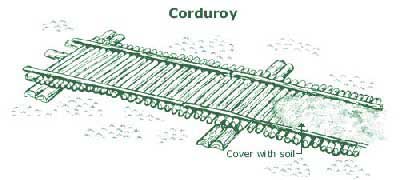 Image of a corduroy.