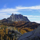 Subalpine larch is one of the last trees to be found before entering an alpine ecosystem. This landscape is dominated by subalpine larch on Temple Ridge with Prusik Peak in the background on the Okanogan-Wenatchee National Forest.