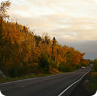 Fall foliage along a scenic route on the Superior National forest. USDA photo.