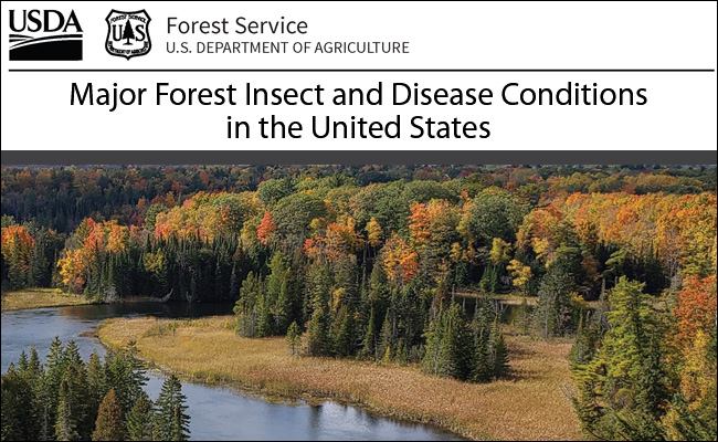 Publication cover of Major Forest Insect and Disease Conditions in the United States
