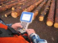 Picture of a log scaler entering data on an Allegro Juniper portable data recorder. Logs are laying in the backgound.