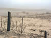 Picture of a burned fence in the foreground, burned grassland and scattered trees in the background.