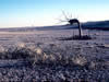 Picture of a lone dead tree in the foreground, a windmill in the far background.