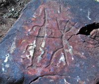 Petroglyphs carved into a rock. 