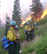 A group of wildland firefighters stand on a hillside while flames race up the hill in the background.