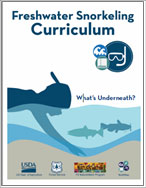 curriculum cover